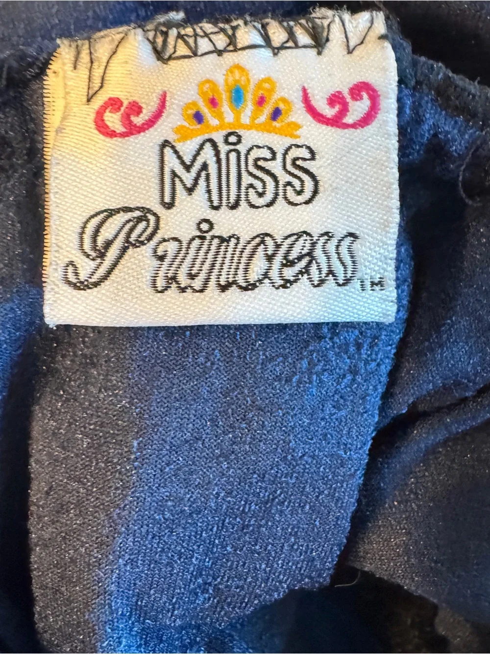 Miss Princess Girls Velvet Tulle Tutu Dress Costume Leotard Blue Size 3